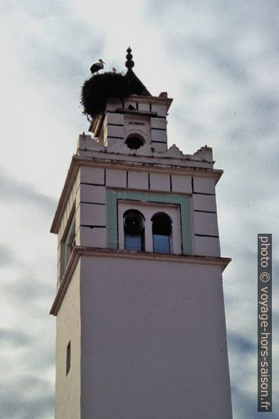 Cigognes sur le minaret de Kasserine. Photo © André M. Winter