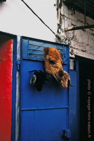 Boucherie halal en Tunisie. Photo © André M. Winter