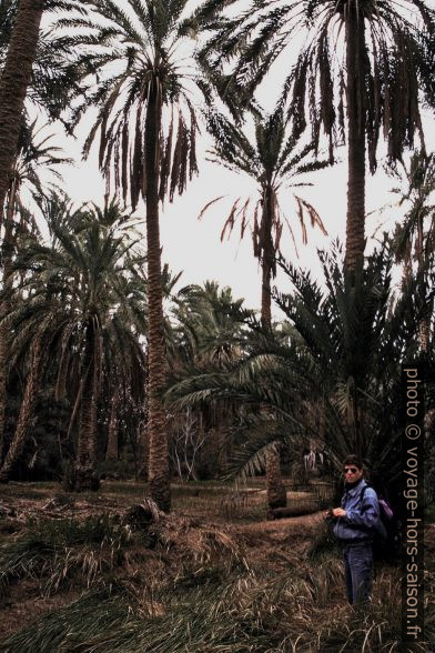 André dans la palmeraie de Nefta. Photo © Leonhard Schwarz