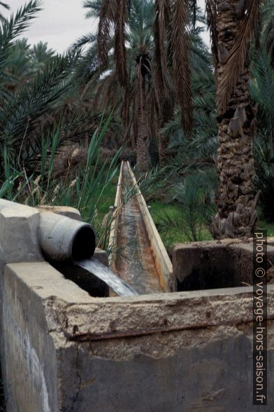 Un canal d'irrigation de Nefta. Photo © Leonhard Schwarz