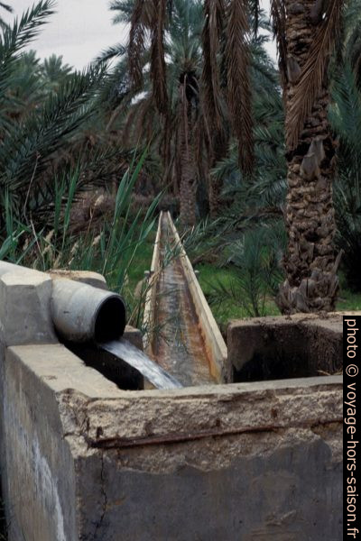 Un canal d'irrigation de Nefta. Photo © Leonhard Schwarz