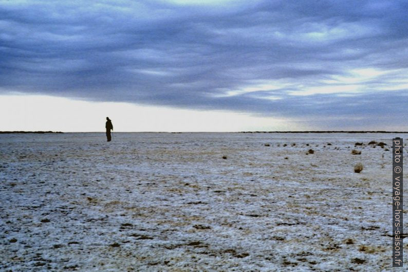 Leonhard dans le Chott el-Jérid. Photo © André M. Winter