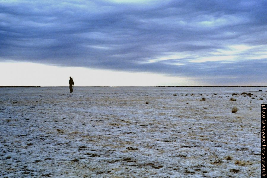 Leonhard dans le Chott el-Jérid. Photo © André M. Winter