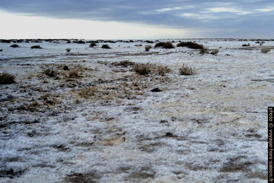 19960216-114500_chott_el-jerid. Photo © Leonhard Schwarz