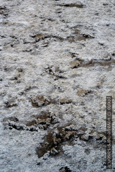 Cristallisations salines dans le Chott el-Jérid. Photo © Leonhard Schwarz