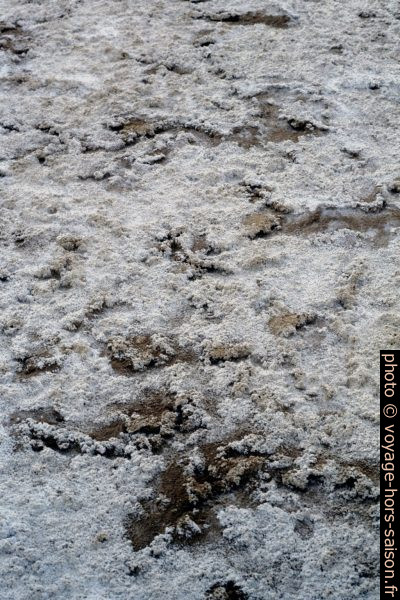 Cristallisations salines dans le Chott el-Jérid. Photo © Leonhard Schwarz