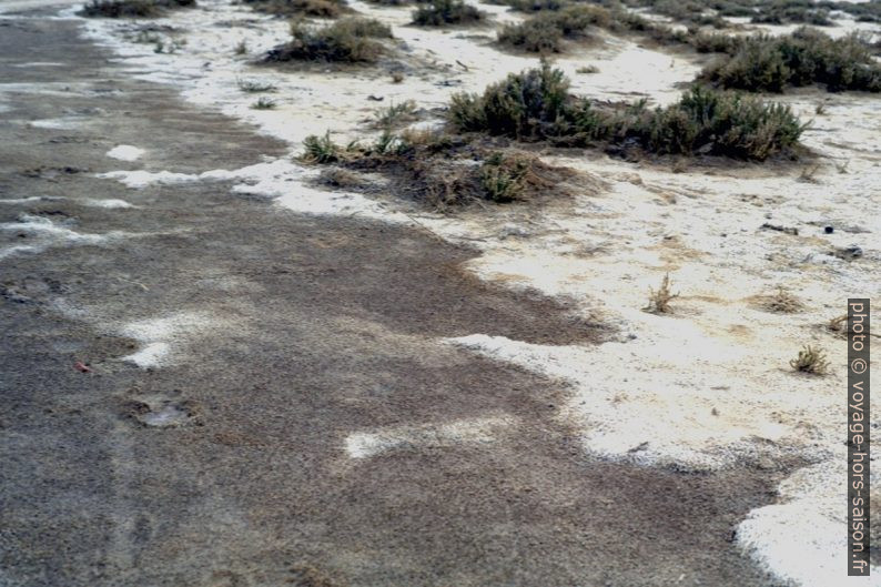 Sels et argiles du Chott el-Jérid. Photo © Leonhard Schwarz