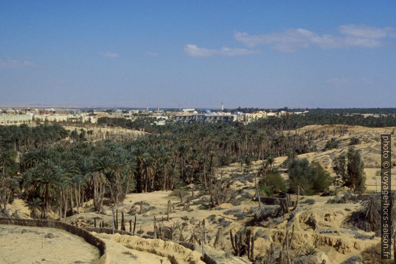 Tozeur et sa palmeraie en 1996. Photo © André M. Winter