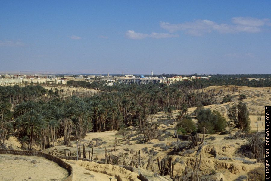 Tozeur et sa palmeraie en 1996. Photo © André M. Winter