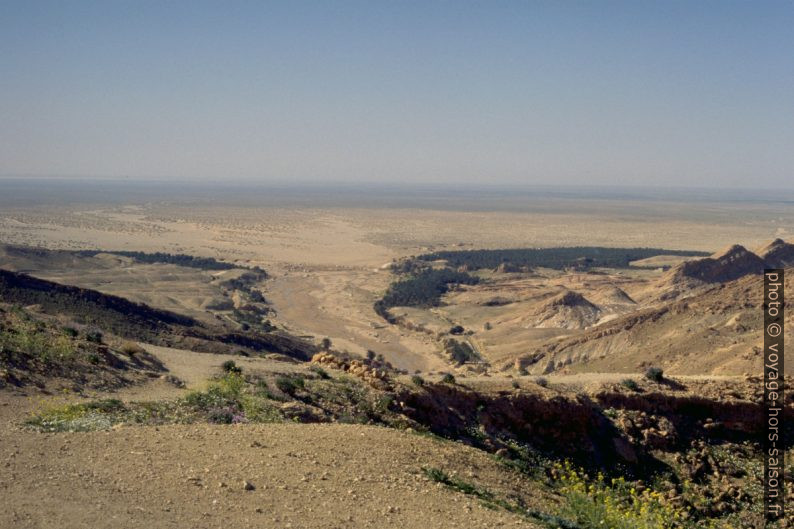 Palmeraie au bord du Chott el-Gharsa. Photo © André M. Winter