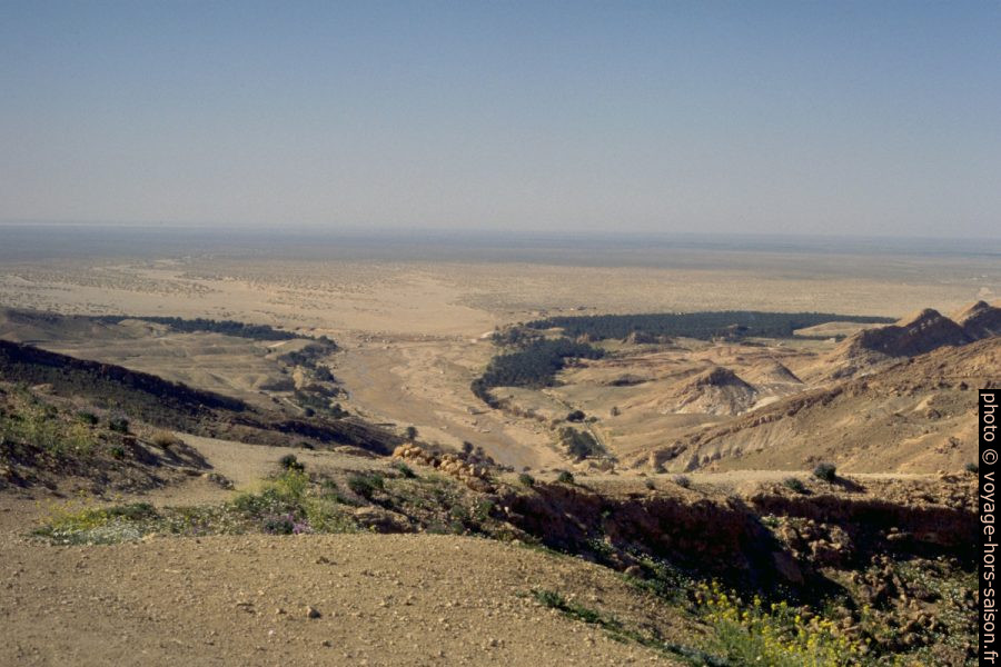 Palmeraie au bord du Chott el-Gharsa. Photo © André M. Winter