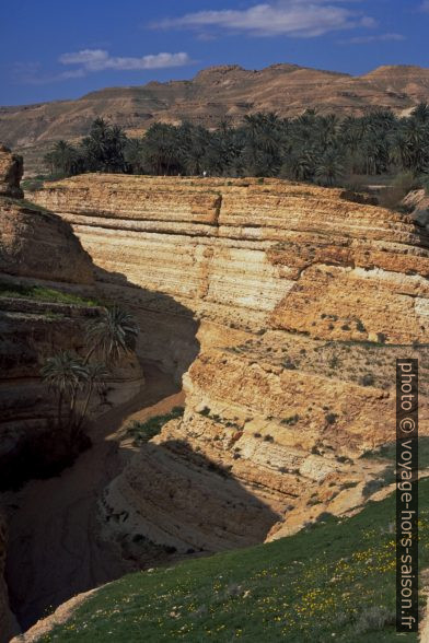 Palmeraie et canyon de Midès. Photo © André M. Winter