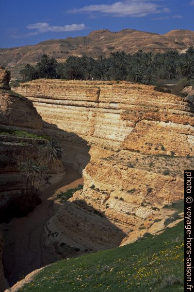 Palmeraie et canyon de Midès. Photo © André M. Winter