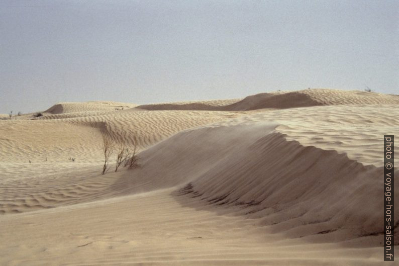 Dunes dans l'Erg Zmilet. Photo © André M. Winter