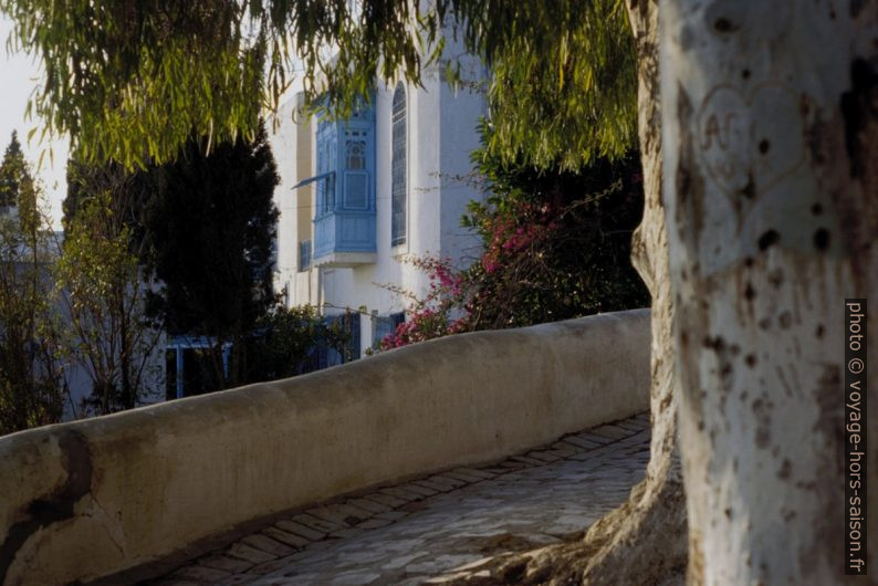 Bougainvillées et demeures nobles à Sidi Bou Saïd. Photo © André M. Winter