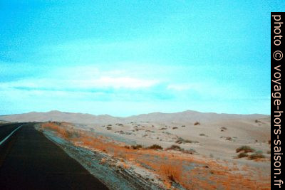 Route dans les Dunes Algodones. Photo © André M. Winter