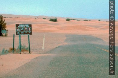 Cul de sac ensablé dans les Dunes Algodones. Photo © André M. Winter