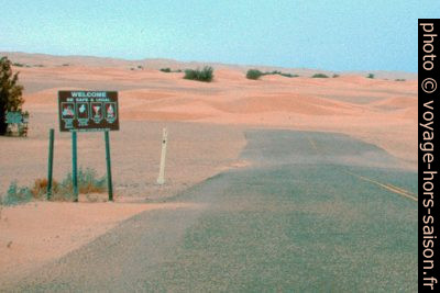 Cul de sac ensablé dans les Dunes Algodones. Photo © André M. Winter