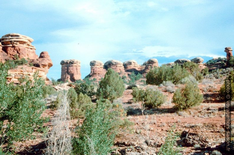 Dômes de roches de l'Elephant Hill. Photo © André M. Winter