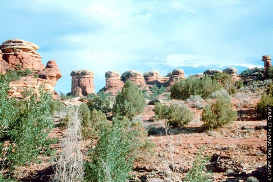 Dômes de roches de l'Elephant Hill. Photo © André M. Winter