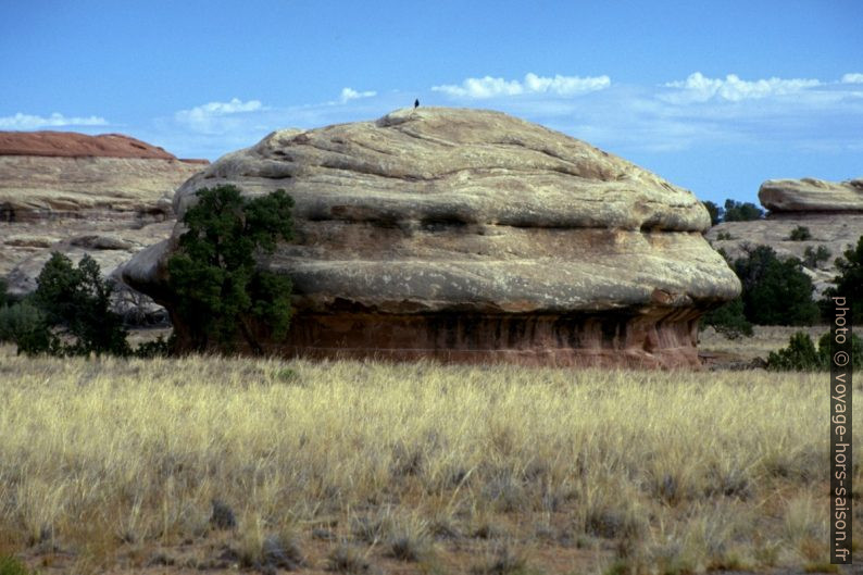 Rocher circulaire du Squaw Flat Campground. Photo © André M. Winter