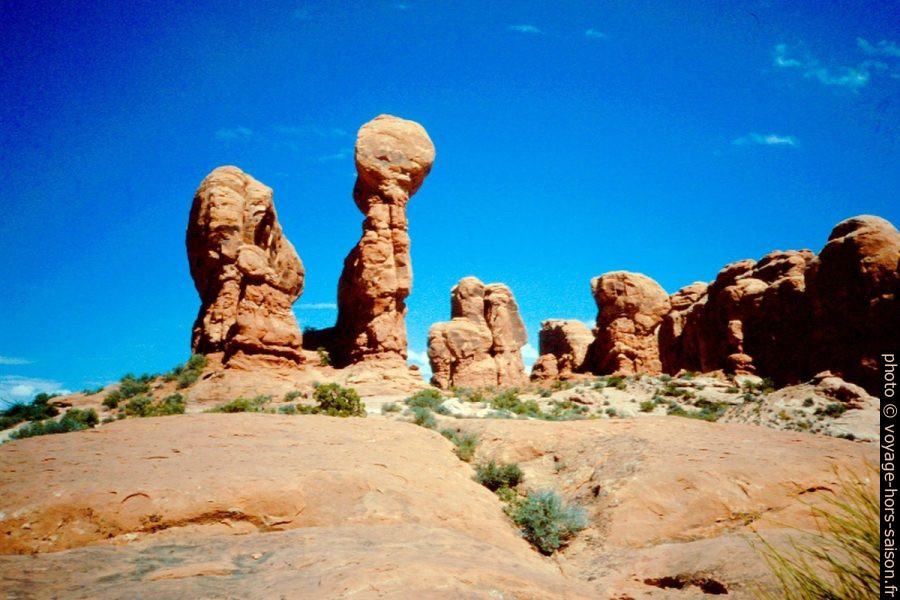 Parade of Elephants dans l'Arches National Park. Photo © André M. Winter