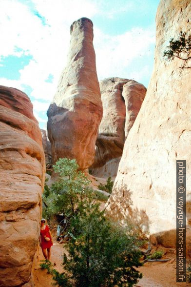 Labyrinthe de rochers dans l'Arches National Park. Photo © André M. Winter