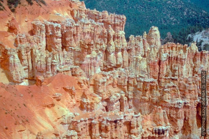 Les Pink Cliffs dans le Bryce NP. Photo © André M. Winter