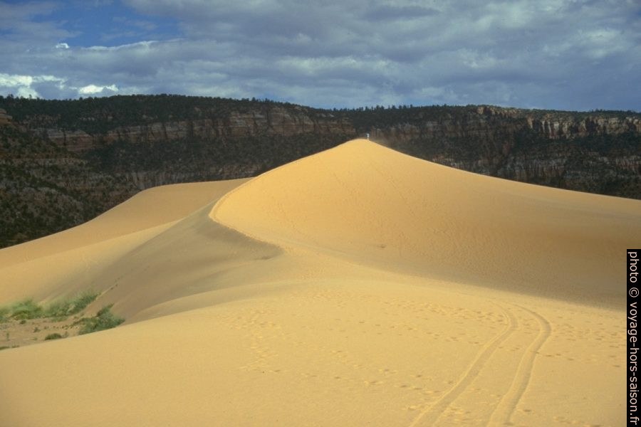 La Big Dune dans le Coral Pink Sand Dunes State Park. Photo © André M. Winter