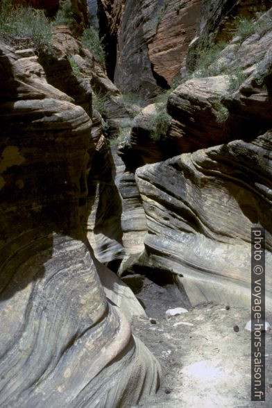 Le Slot Canyon dans l'Echo Canyon du Zion National Park. Photo © André M. Winter