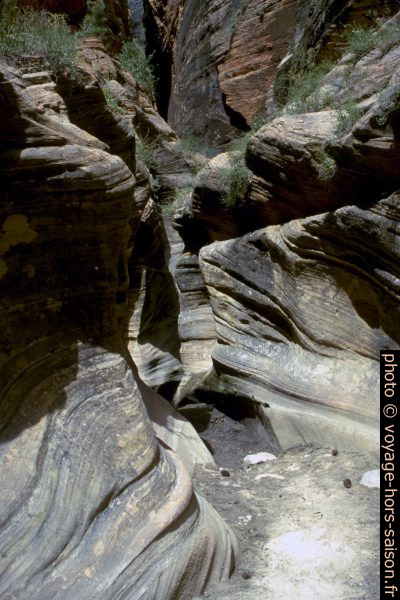 Le Slot Canyon dans l'Echo Canyon du Zion National Park. Photo © André M. Winter