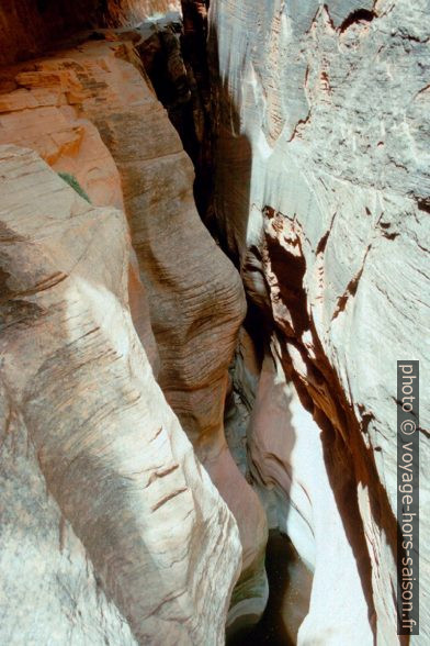 L'Echo Canyon dans le Zion National Park. Photo © André M. Winter