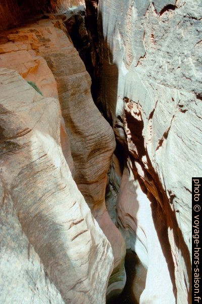 L'Echo Canyon dans le Zion National Park. Photo © André M. Winter