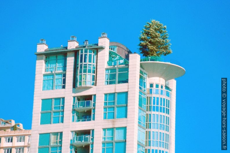 Gratte-ciel avec un arbre sur la terrasse. Photo © André M. Winter
