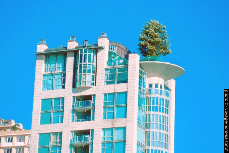 Gratte-ciel avec un arbre sur la terrasse. Photo © André M. Winter