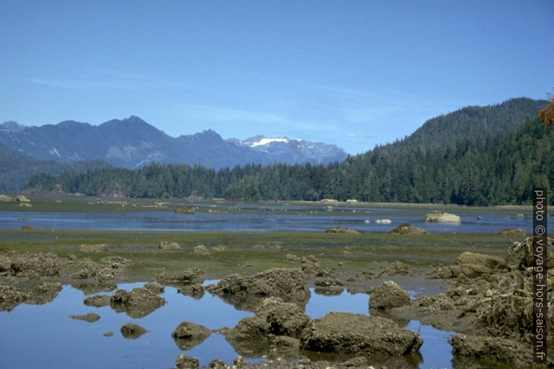 Une lagune de Vancouver Island par mer basse. Photo © André M. Winter