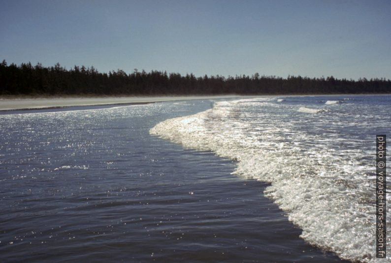 Les vagues sur la plage d'Ahous Bay. Photo © André M. Winter