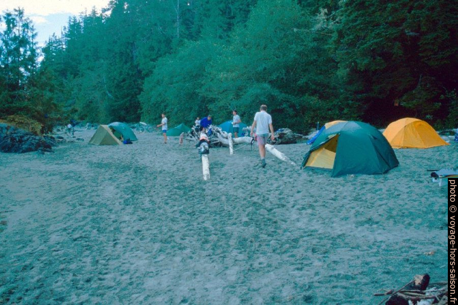 Notre camp sur la White Cove Beach de Flores Island. Photo © Alex Medwedeff