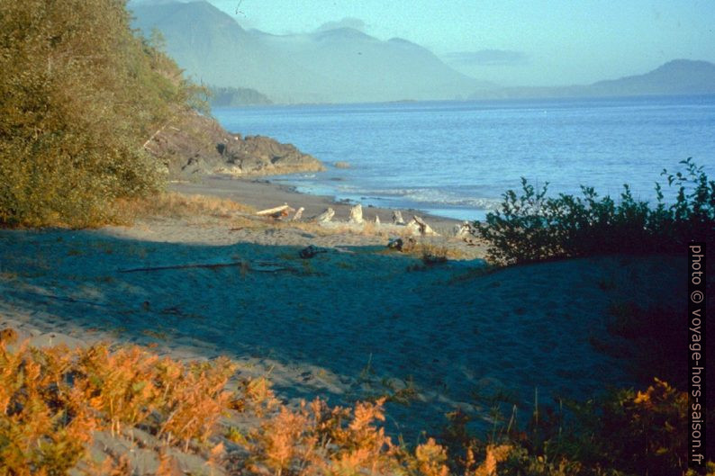 Partie est de la White Cove Beach. Photo © André M. Winter