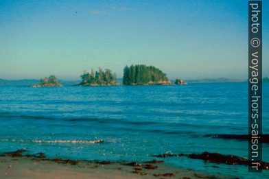 Les trois îlots McKinn Islets devant White Cove Beach. Photo © André M. Winter