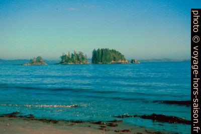 Les trois îlots McKinn Islets devant White Cove Beach. Photo © André M. Winter