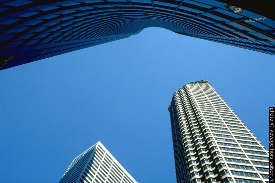 Columbia Center et Seattle Municipal Tower. Photo © Peter Sykora