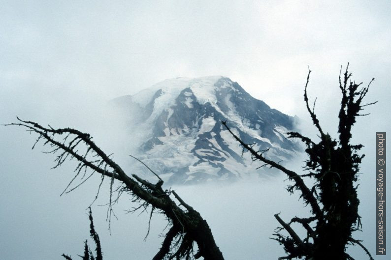 Le Mount Rainier voilé de brume. Photo © Peter Sykora