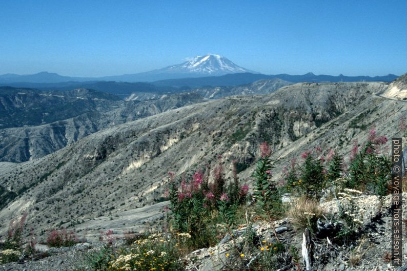 Vue vers le Mount Adams. Photo © André M. Winter