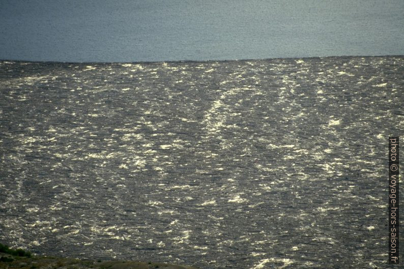 D'innombrables troncs flottent dans le Spirit Lake depuis 18 ans. Photo © André M. Winter