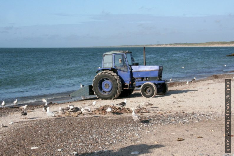 Tracteur sur la plage. Photo © André M. Winter