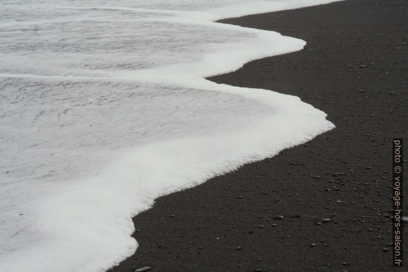 Mouse blanche sur plage noire. Photo © Alex Medwedeff