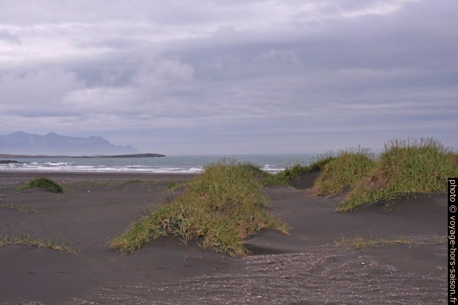 Dunes de sable noir au Cap Stokksnes. Photo © Alex Medwedeff