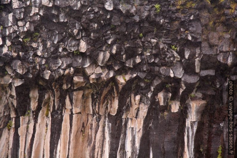 Orgues de basalte courbées près de la cascade Svartifoss. Photo © André M. Winter
