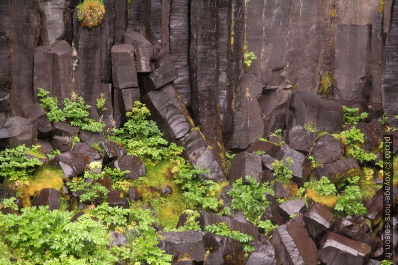 Détail des orgues basaltiques du Svartifoss. Photo © André M. Winter